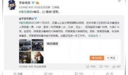 吃瓜娱乐全网收集,吃瓜娱乐，揭秘娱乐圈幕后故事